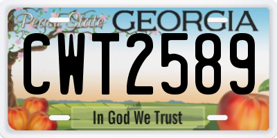 GA license plate CWT2589