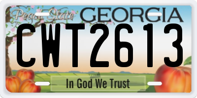 GA license plate CWT2613