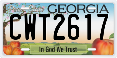 GA license plate CWT2617