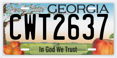 GA license plate CWT2637