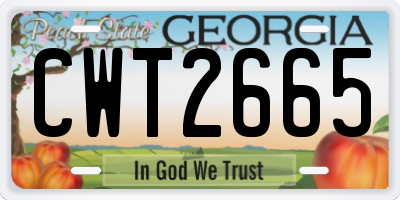 GA license plate CWT2665