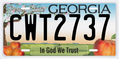 GA license plate CWT2737