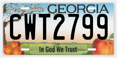 GA license plate CWT2799