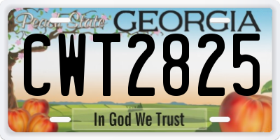 GA license plate CWT2825