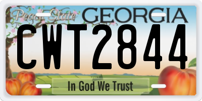 GA license plate CWT2844