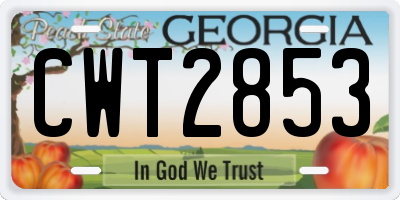 GA license plate CWT2853