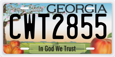 GA license plate CWT2855