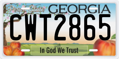 GA license plate CWT2865