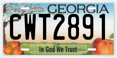 GA license plate CWT2891