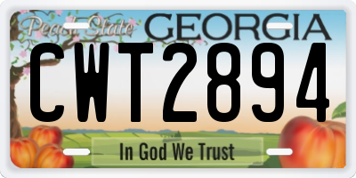 GA license plate CWT2894