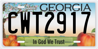 GA license plate CWT2917