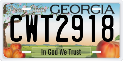 GA license plate CWT2918