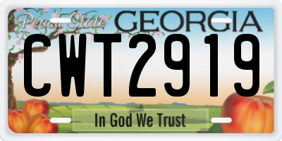 GA license plate CWT2919