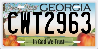 GA license plate CWT2963