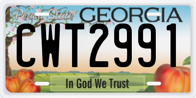 GA license plate CWT2991
