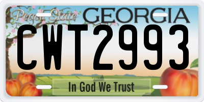 GA license plate CWT2993