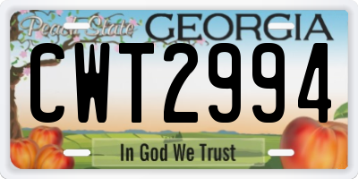 GA license plate CWT2994