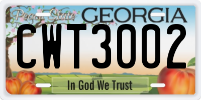 GA license plate CWT3002