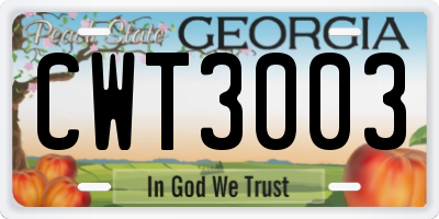 GA license plate CWT3003