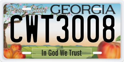 GA license plate CWT3008