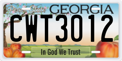 GA license plate CWT3012