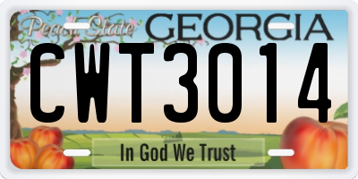 GA license plate CWT3014