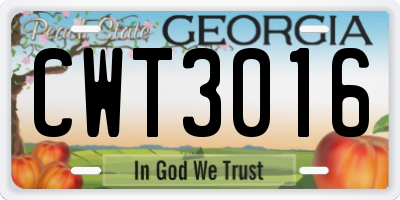 GA license plate CWT3016