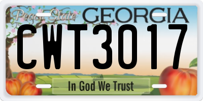 GA license plate CWT3017