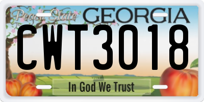 GA license plate CWT3018