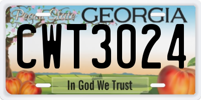 GA license plate CWT3024