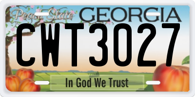 GA license plate CWT3027