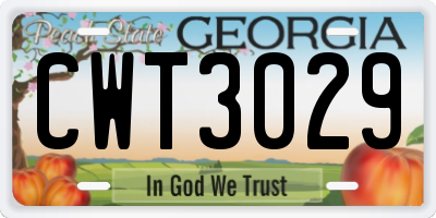 GA license plate CWT3029