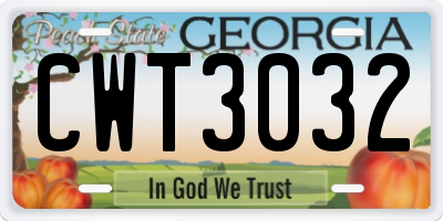 GA license plate CWT3032