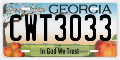 GA license plate CWT3033