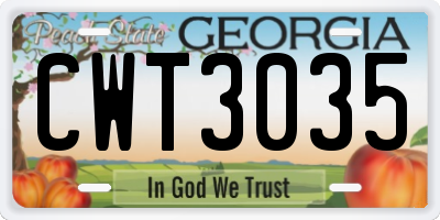 GA license plate CWT3035