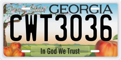 GA license plate CWT3036