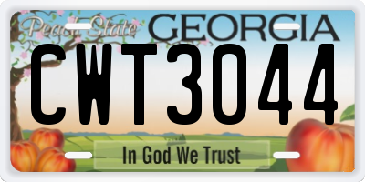 GA license plate CWT3044