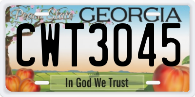 GA license plate CWT3045