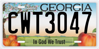 GA license plate CWT3047