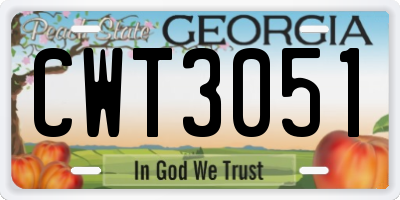 GA license plate CWT3051