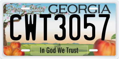 GA license plate CWT3057