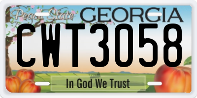 GA license plate CWT3058