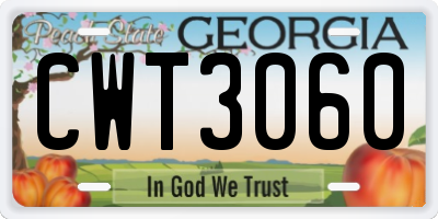 GA license plate CWT3060
