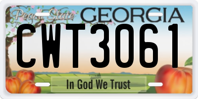 GA license plate CWT3061