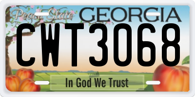GA license plate CWT3068