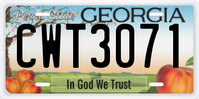 GA license plate CWT3071