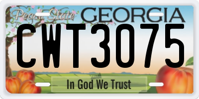 GA license plate CWT3075