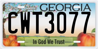 GA license plate CWT3077