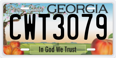 GA license plate CWT3079