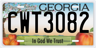 GA license plate CWT3082